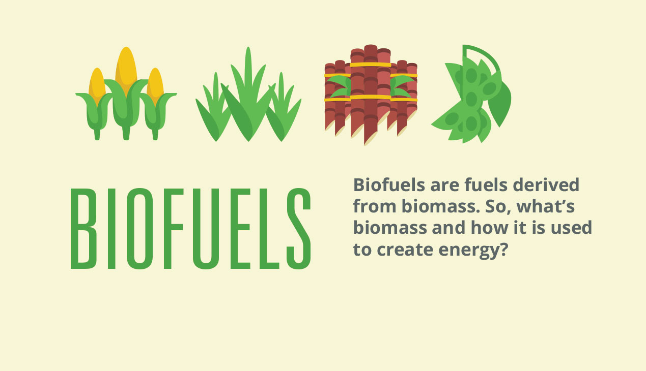 what-are-biofuels