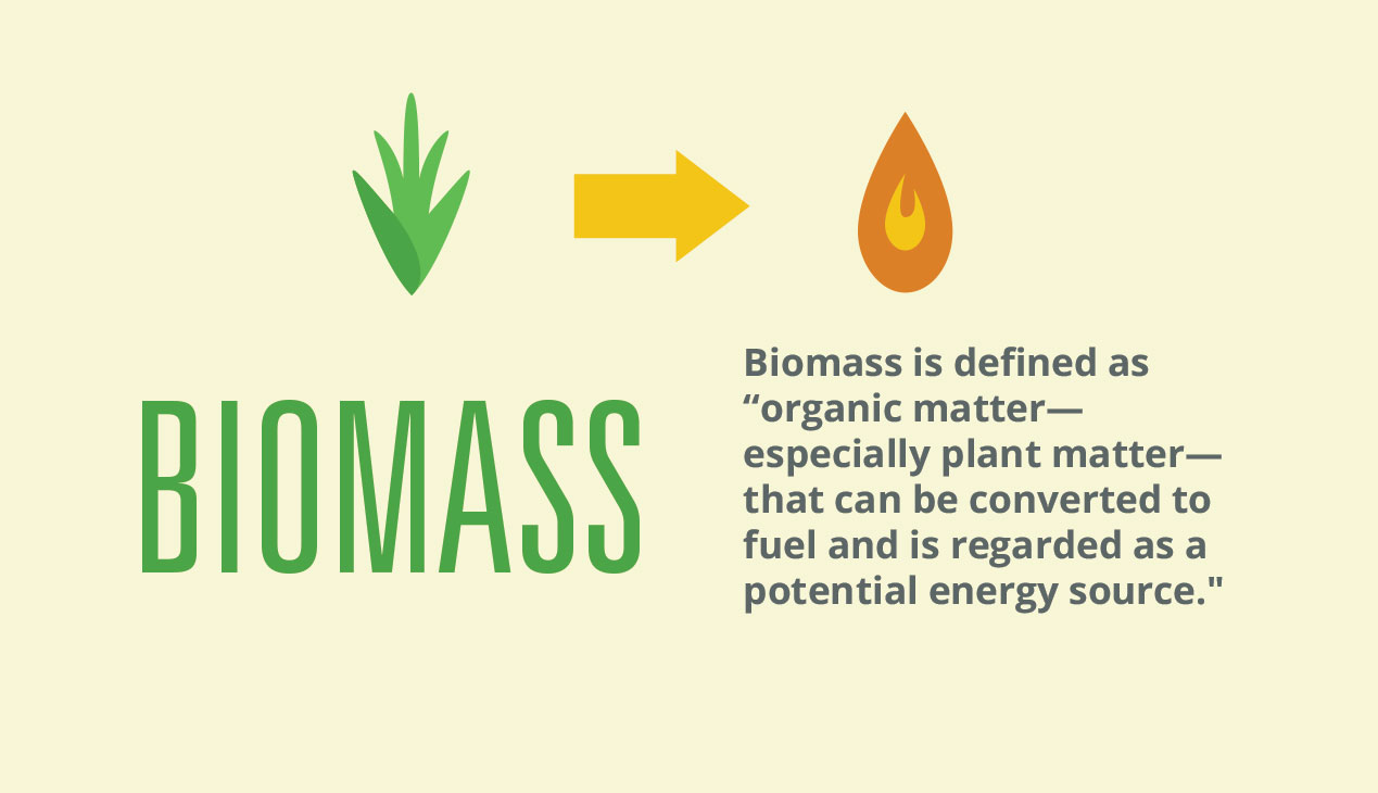 what-is-biomass