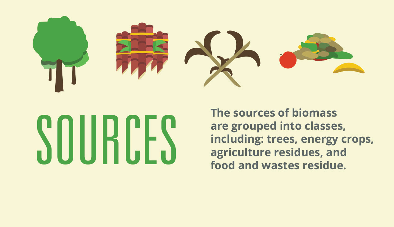 biomass-sources
